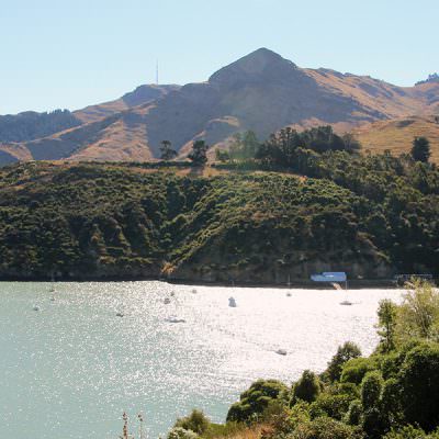 Küsten in Neuseeland