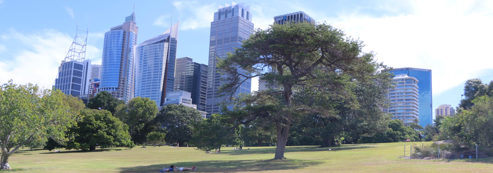Sydney Skyline Botanischer Garten